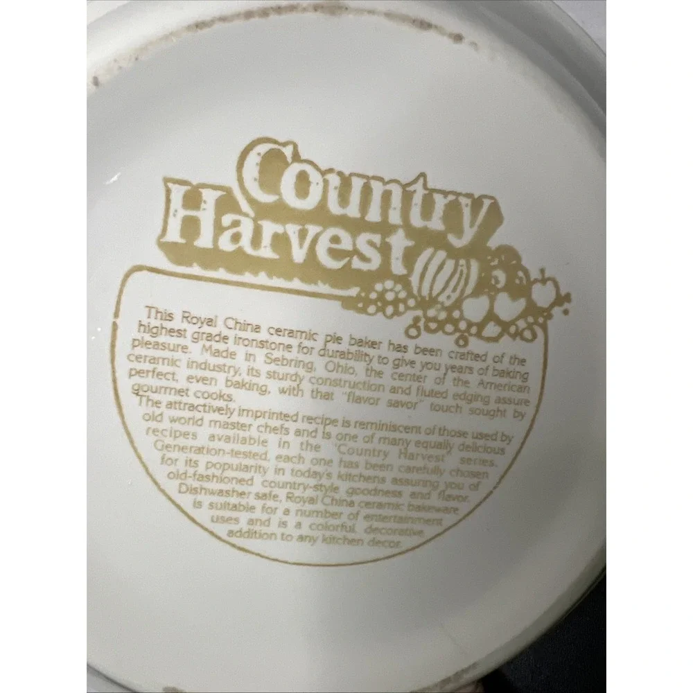 Vintage Retro Country Harvest Green Apple Pie Plate Pan Dish Recipe Baking 11